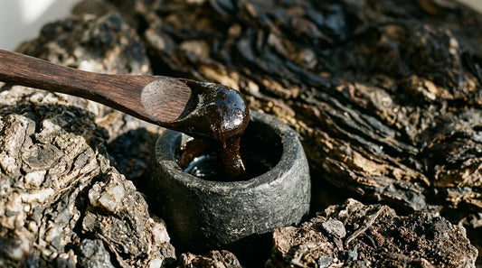 Authentic Himalayan shilajit resin shown with natural rock textures