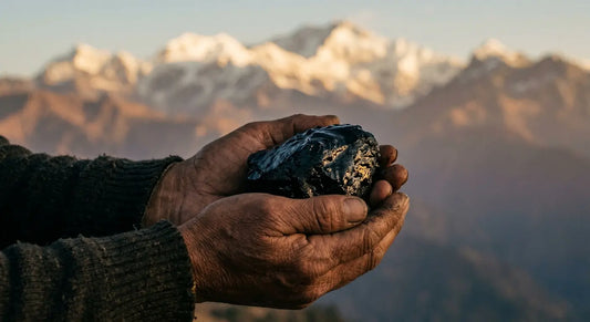 Hands holding raw Himalayan shilajit resin with snow-capped mountain peaks at golden hour