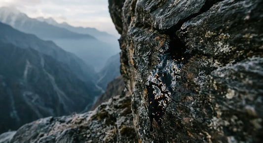 Raw shilajit resin seeping from Himalayan rock formation at high altitude showing natural source