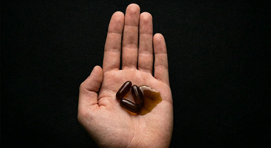 Open hand holding black seed oil capsules and liquid oil side by side under split cool and warm lighting