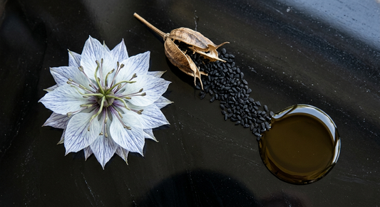 Nigella sativa flower, black seeds, and cold-pressed oil on dark surface showing botanical origin