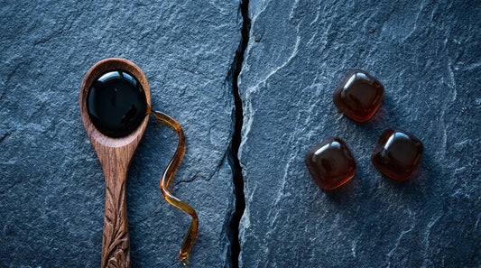 Overhead split composition comparing shilajit resin on a wooden spoon and shilajit gummies on dark Himalayan stone